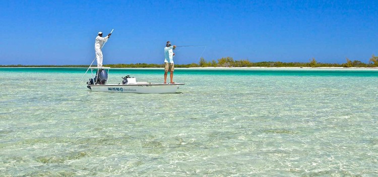 Saltwater Fly Fishing: Flats