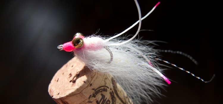 Shrimpy Dink: Pink & White