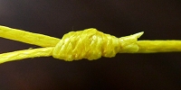 Surgeon's Loop Knot with Backing