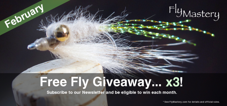 Free Fly Giveaway for February