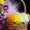 Easter Baskets & Bunnies