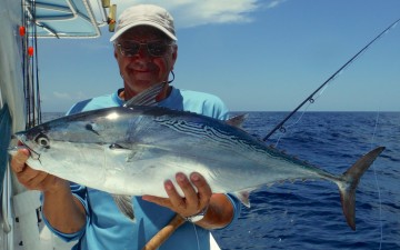 John Roetman: Mackerel Tuna on Fly