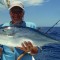 John Roetman: Mackerel Tuna on Fly