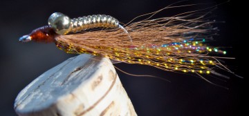 Crazy Charlie: Hazelnut