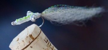 Needlefish