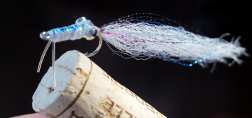 Eel: Blue