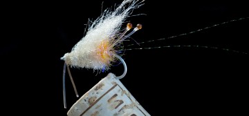 Glowing Micro Shrimp