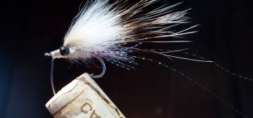 Headdress Scampi: Badger Makes This Easy