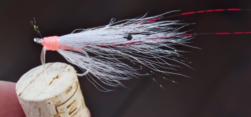 Shrimp: Grey & Pink