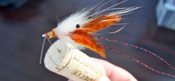 Shrimp: Rusty Claw