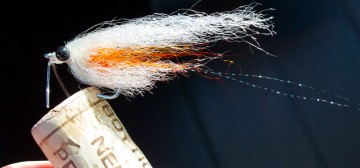 Smoldering Scampi