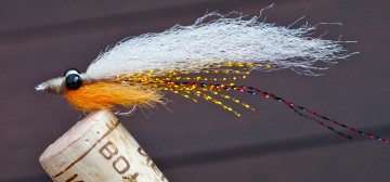 Spawning Shrimp: Orange Beard
