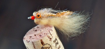Puffy Shrimp with Copper Flash