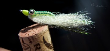 Crazy Charlie: Chartreuse & Peacock