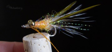 Southern Scampi