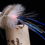 Cracked Merkin Crab Fleeing: Biscayne Blue